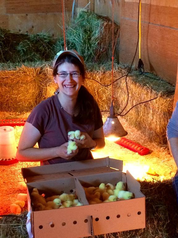 קלונה Hitching Post Resort מראה חיצוני תמונה